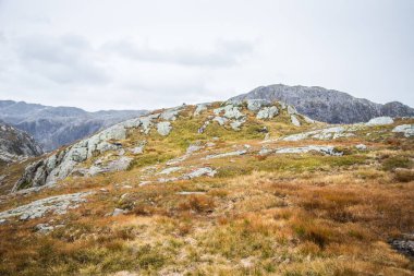 Rüzgarlı, yağmurlu havalarda uzun bir yürüyüş sırasında güzel sonbahar manzara Folgefonna Milli Parkı'nda Norveç'te. Dağlar İskandinavya. Sonbahar sahne içinde ekilmemiş boş arazi.