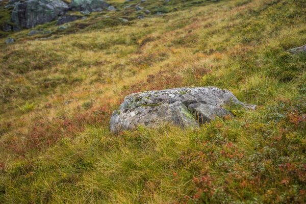 Piękny Krajobraz Jesień Parku Narodowego Folgefonna Norwegii Podczas Wycieczki Wietrznie — Zdjęcie stockowe