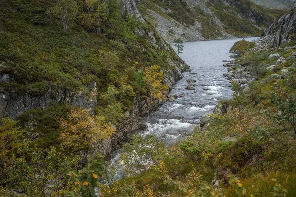 Una Bella Rapide Fiume Montagna Montagne Parco Nazionale Folgefonna Norvegia — Foto Stock