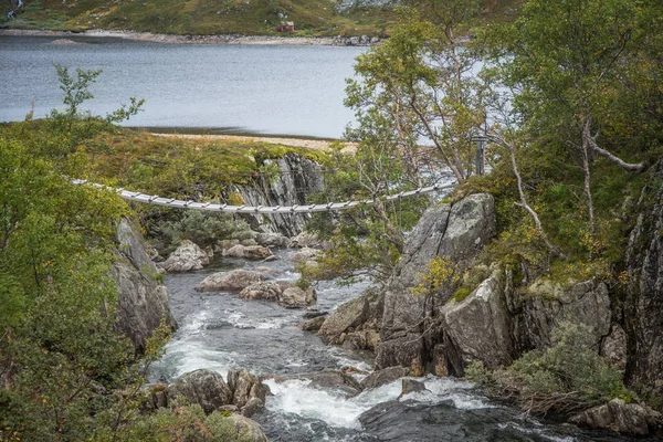 Beautiful Mountain River Rapids Mountains Folgefonna National Park Norway Autumn — Stock Photo, Image