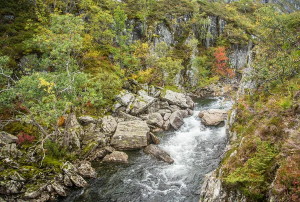 Ein Schöner Gebirgsfluss Fließt Den Bergen Des Folgefonna Nationalparks Norwegen — Stockfoto