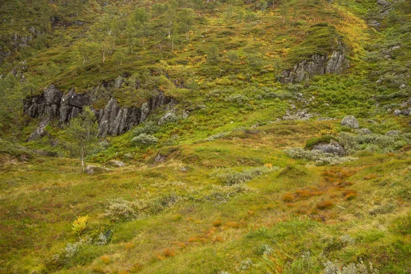 Een Mooie Herfst Kleuren Hellingen Van Bergen Folgefonna Nationaal Park — Stockfoto