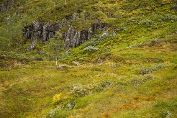 Een Mooie Herfst Kleuren Hellingen Van Bergen Folgefonna Nationaal Park — Stockfoto