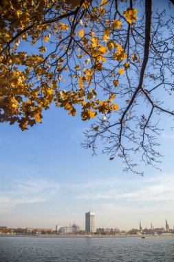 Güzel bir sonbahar cityscape ağaçlarda parlak renkler. Sonbahar yaprakları City, Riga, Letonya.