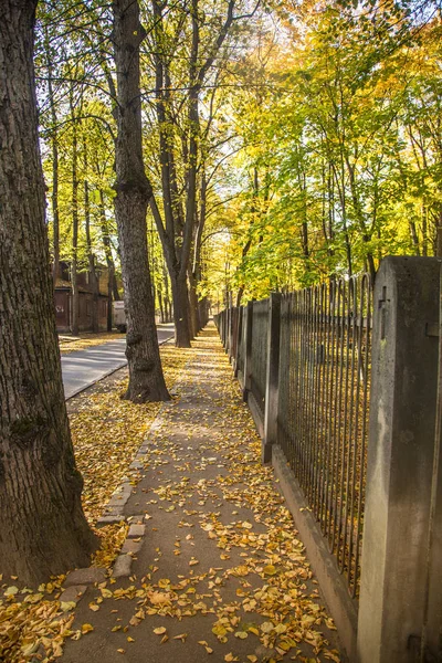 Een Prachtige Herfst Stadsgezicht Met Een Heldere Kleuren Bomen Herfstbladeren — Stockfoto