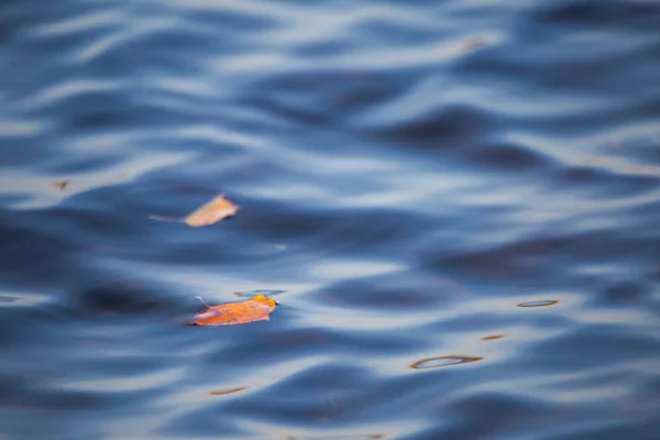 Egy Gyönyörű Víz Felszínén Közelről Folyón Néhány Gondolat Hullámok Riga — Stock Fotó