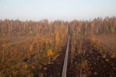 Sulak bir güzel misty peyzaj düşmüş. Bataklıkta, yumuşak, sonbahar manzara ışık, sis ve pus yayılmış. Sunrise Letonya, Europe.