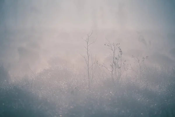 Een Prachtig Mistige Landschap Van Een Daling Waterrijke Gebieden Herfst — Stockfoto