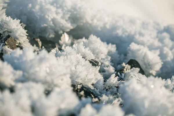 Гарний Сніг Крупним Планом Зимовий День Норвезька Зимові Пейзажі — стокове фото