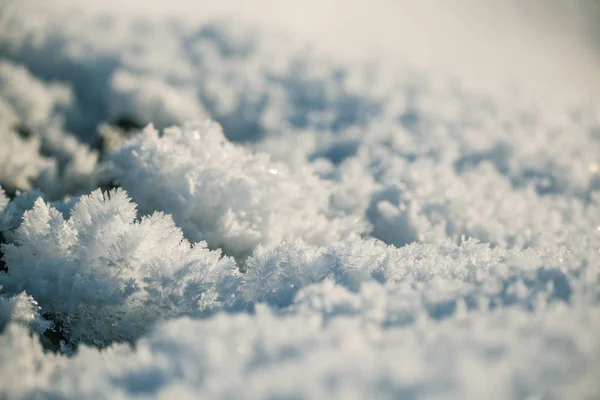 Eine Schöne Schnee Nahaufnahme Einem Wintertag Norwegische Winterlandschaft — Stockfoto
