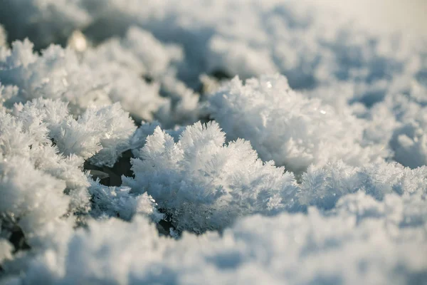 Una Bella Neve Primo Piano Una Giornata Invernale Scenario Invernale — Foto Stock