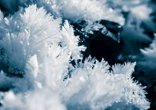 冬天的一场美丽的雪特写 挪威冬季风景 — 图库照片