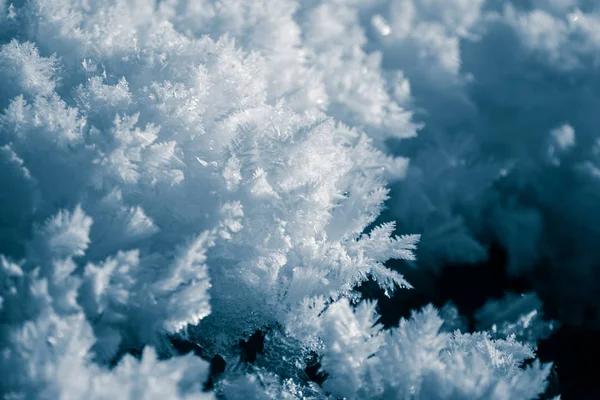 冬天的一场美丽的雪特写 挪威冬季风景 — 图库照片