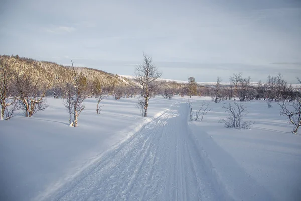 Hermoso Paisaje Invernal Con Una Carretera Woods Noruega Paisaje Escandinavo — Foto de Stock