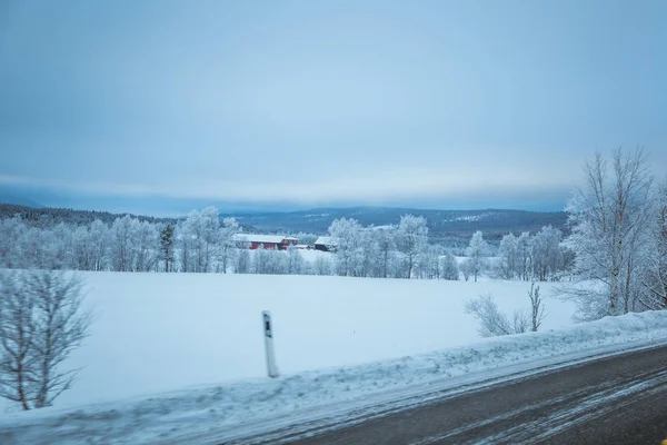 Piękny Zimowe Dekoracje Drogi Woods Norwegii Skandynawski Krajobraz Śniegiem — Zdjęcie stockowe