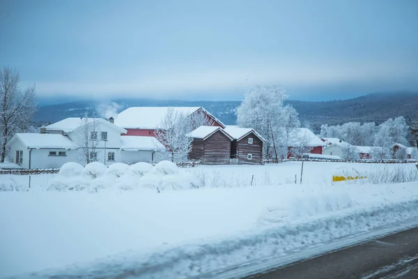 一条带路的美寒冬景 伍兹在挪威 斯堪的纳维亚景观与雪 — 图库照片
