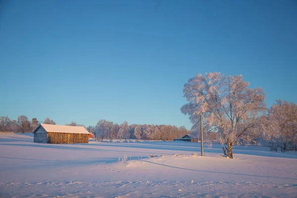 Piękna Wieczorna Sceneria Małego Norweskiego Miasta Roros Zimą Sceneria Zachodu — Zdjęcie stockowe