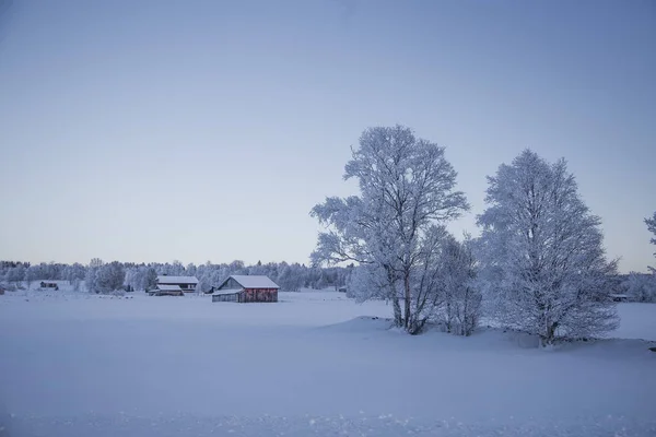 Piękna Wieczorna Sceneria Małego Norweskiego Miasta Roros Zimą Sceneria Zachodu — Zdjęcie stockowe