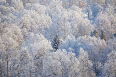 Kışın küçük bir Norveç kasabası Roros güzel bir sabah sahne. Dünya mirası. İskandinav kış manzarası.