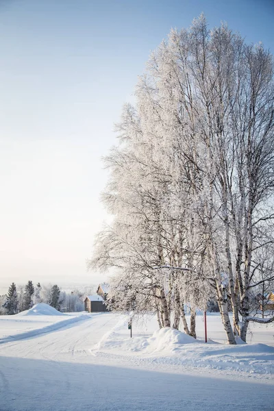 Una Hermosa Escena Matutina Una Pequeña Ciudad Noruega Roros Invierno — Foto de Stock