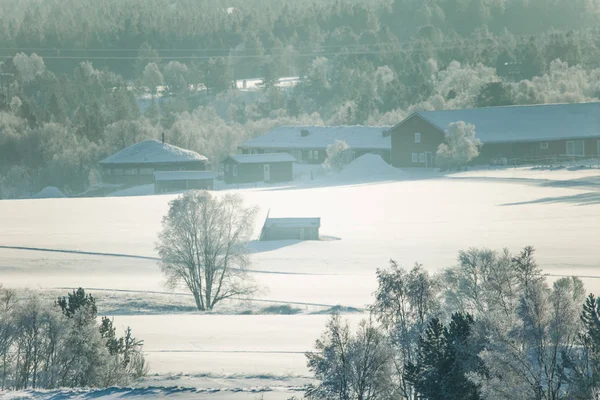 冬天挪威小镇罗罗斯美丽的早晨景象 世界遗产地 斯堪的纳维亚冬季景观 — 图库照片