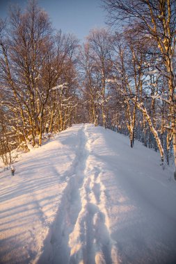 Norveç tonlu roros'un şehvetli gün batımı manzarası. Bir akşam güneşi ile kış manzarası. Sıcak, dinlendirici bir atmosfer.