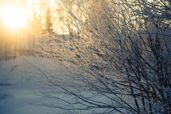 Прекрасний Ранковий Сценолей Маленького Норвезького Містечка Ророс Взимку Всесвітньої Спадщини — стокове фото