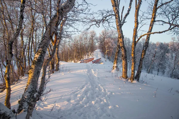 Hermoso Paisaje Atardecer Una Pequeña Tonelada Noruega Roros Paisaje Winter —  Fotos de Stock