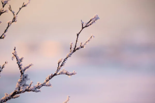 Eine Wunderschöne Sonnenuntergangslandschaft Einer Kleinen Norwegischen Tonne Roros Winterlandschaft Mit — Stockfoto