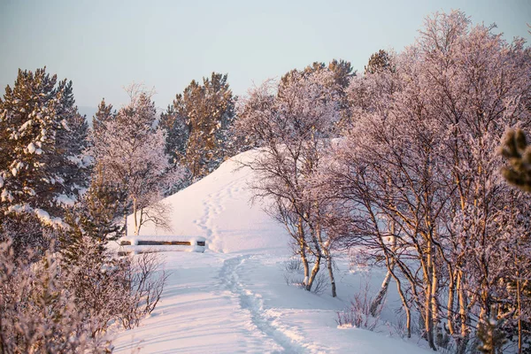 Hermoso Paisaje Atardecer Una Pequeña Tonelada Noruega Roros Paisaje Winter — Foto de Stock
