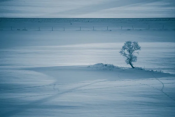 Uma Paisagem Beatiful Por Sol Uma Tonelada Norueguesa Pequena Roros — Fotografia de Stock