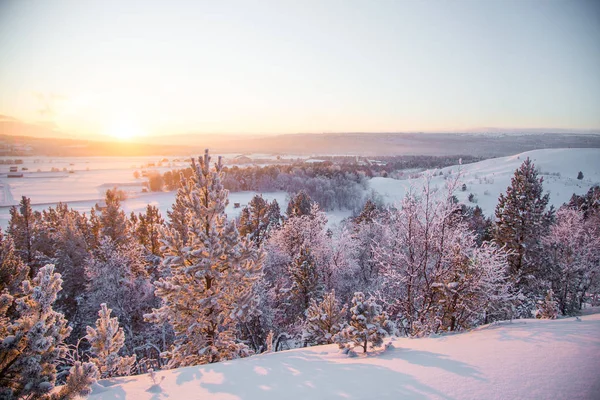 Blažené Venkovské Krajiny Malého Norského Tuny Rorosu Zimní Scenérie Večerním — Stock fotografie