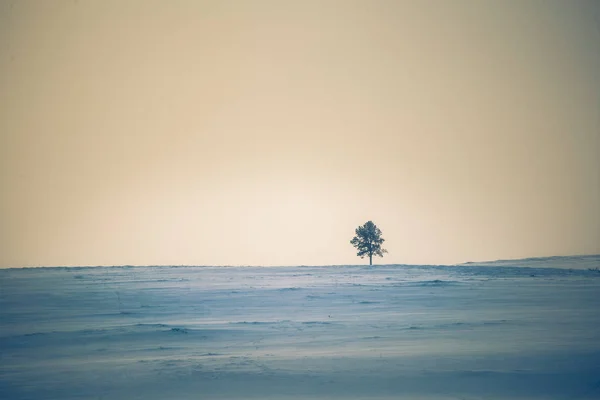 Una Bella Mattina Nebbiosa Sulle Colline Norvegesi Inverno Paesaggio Bianco — Foto Stock