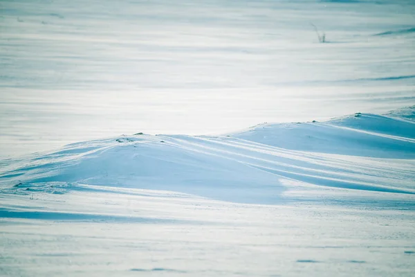 Kışın Norveç Tepelerinde Güzel Sisli Bir Sabah Beyaz Puslu Manzara — Stok fotoğraf