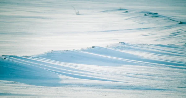 Piękny Mglisty Poranek Norweskich Wzgórzach Zimie Biały Mgny Krajobraz Pobliżu — Zdjęcie stockowe