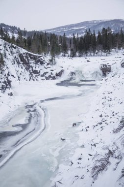 Kışın Norveç tepelerinde güzel, sisli bir sabah. Beyaz, puslu manzara. Küçük Norveç kasabası Roros yakınlarında.
