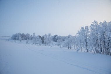 Kışın Norveç tepelerinde güzel, sisli bir sabah. Beyaz, puslu manzara. Küçük Norveç kasabası Roros yakınlarında.