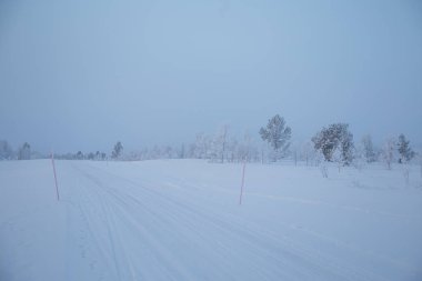 Kışın Norveç tepelerinde güzel, sisli bir sabah. Beyaz, puslu manzara. Küçük Norveç kasabası Roros yakınlarında.