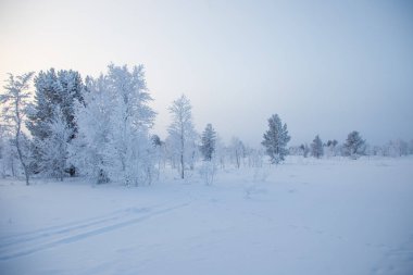 Kışın Norveç tepelerinde güzel, sisli bir sabah. Beyaz, puslu manzara. Küçük Norveç kasabası Roros yakınlarında.