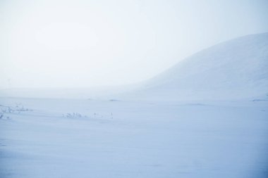 Kışın Norveç tepelerinde güzel, sisli bir sabah. Beyaz, puslu manzara. Küçük Norveç kasabası Roros yakınlarında.