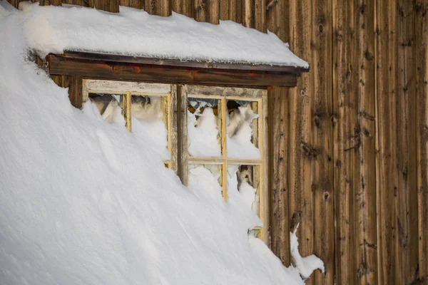 Nádherné Zamlžené Ráno Norských Kopcích Zimě Bílá Zamlčená Krajina Poblíž — Stock fotografie