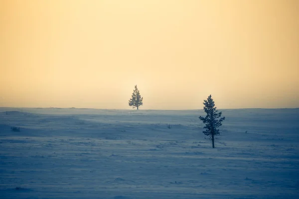 冬のノルウェーの丘の美しい霧の朝 曇った風景 ノルウェーの小さな町ロロスの近く — ストック写真