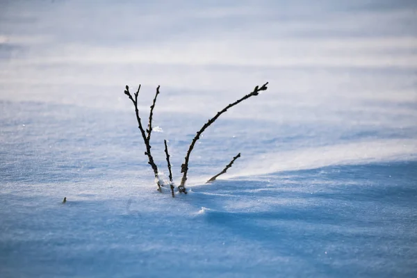 Uma Bela Manhã Enevoada Nas Colinas Norueguesas Inverno Paisagem Branca — Fotografia de Stock