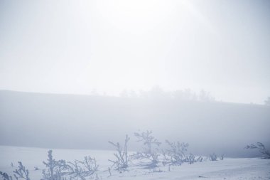 Kışın Norveç tepelerinde güzel, sisli bir sabah. Beyaz, puslu manzara. Küçük Norveç kasabası Roros yakınlarında.