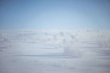 Kışın Norveç tepelerinde güzel, sisli bir sabah. Beyaz, puslu manzara. Küçük Norveç kasabası Roros yakınlarında.