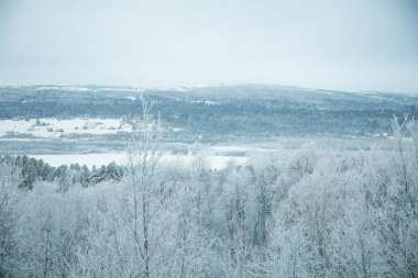 Norveç'te güzel bir kış manzarası. Karlı manzara. İskandinav kışı.