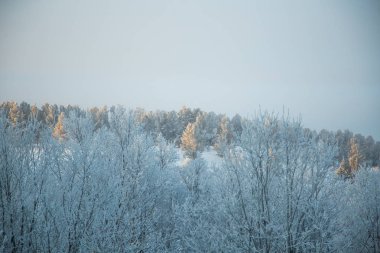 Norveç'te güzel bir kış manzarası. Karlı manzara. İskandinav kışı.