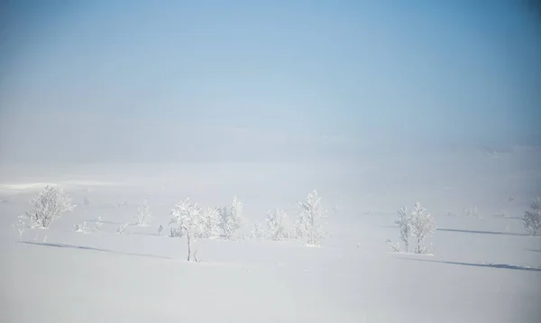 冬のノルウェーの丘の美しい霧の朝 曇った風景 ノルウェーの小さな町ロロスの近く — ストック写真