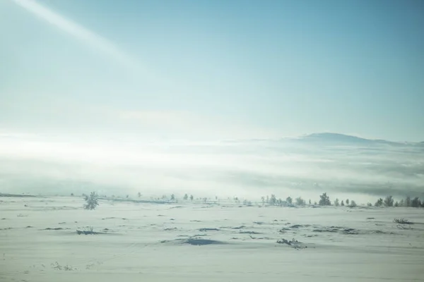 Красивое Туманное Утро Зимой Белый Туманный Пейзаж Недалеко Маленького Городка — стоковое фото