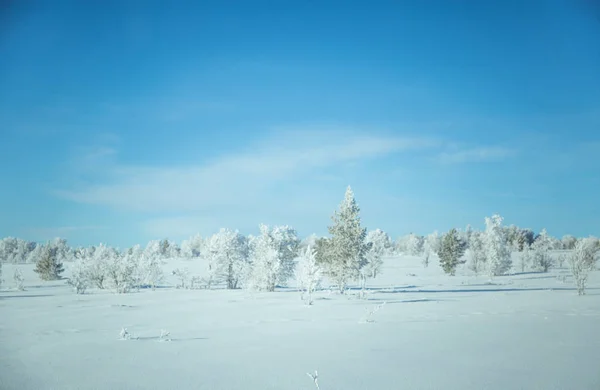 Una Hermosa Mañana Brumosa Las Colinas Noruegas Invierno Paisaje Blanco —  Fotos de Stock